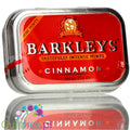 Barkley's Cinnamon Mints - miętówki cynamonowe bez cukru w ozdobnej puszce by Barkley's (barkley-s-cinnamon-mints-mietowki-cynamonowe-bez-cukru-w-ozdobnej-puszce)