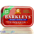 Barkley's Cinnamon Mints 30g - miętówki cynamonowe bez cukru w ozdobnej puszce