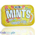 Big Sky Mints Lemonade Stand - pudrowe pastylki bez cukru o smaku lemoniady cytrynowej, puszka vintage by Big Sky (big-sky-mints-lemonade-stand-pudrowe-pastylki-bez-cukru-o-smaku-lemoniady-cytrynowej-puszka-vintage)