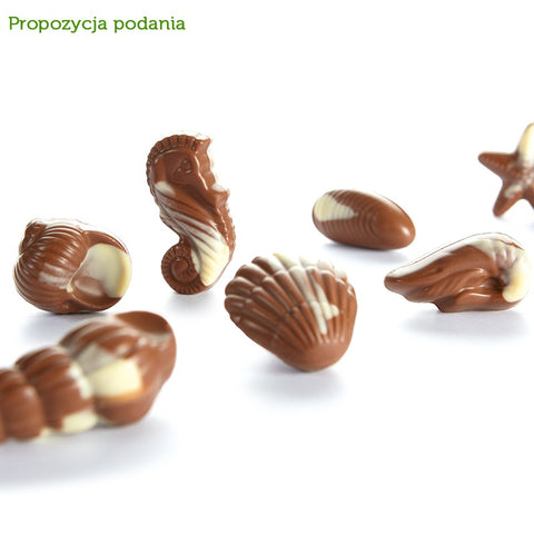 Cavalier Belgian Chocolatier Stevia no sugar added seashells