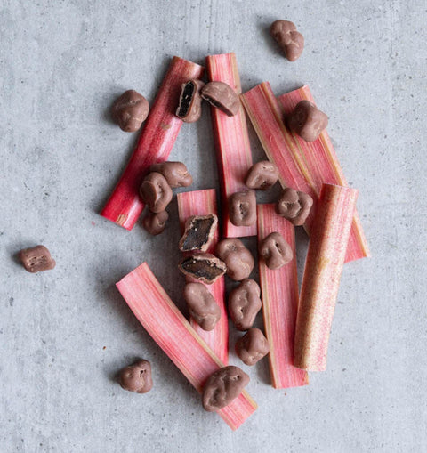 RAW COCOA Rhubarb in Creamy Chocolate - rhubarb in vegan non-dairy chocolate without sugar and palm oil