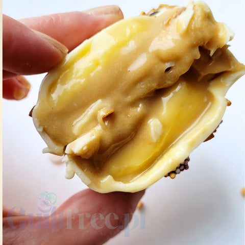 KoxBar Glamour Donut PRE-SALE - artisanal protein bar Donut-Donut