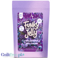 Funky Jelly Blueberry Lavender x 15 porcji - galaretka bez cukru, smak Lawenda & Borówka